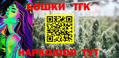 мет Можга