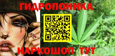 мет Можга