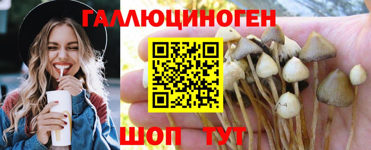 Псилоцибиновые грибы GOLDEN TEACHER Верхняя Пышма